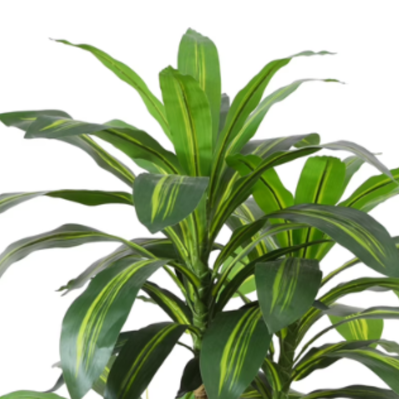 4ft Faux Dracaena Plant with White Tall Pot