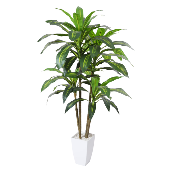 4ft Faux Dracaena Plant with White Tall Pot